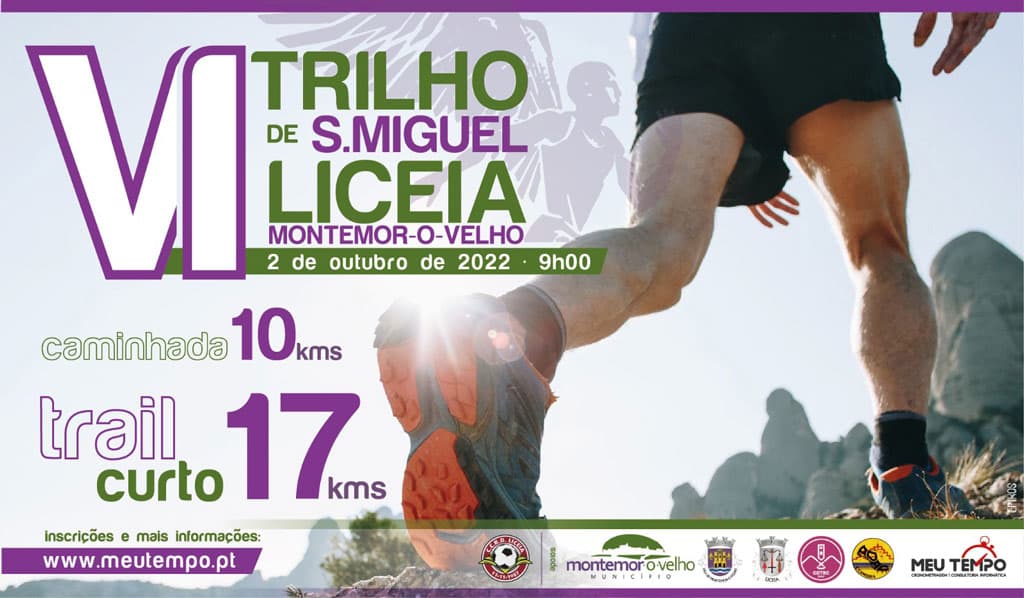 Cartaz de VI TRILHO DE S. MIGUEL