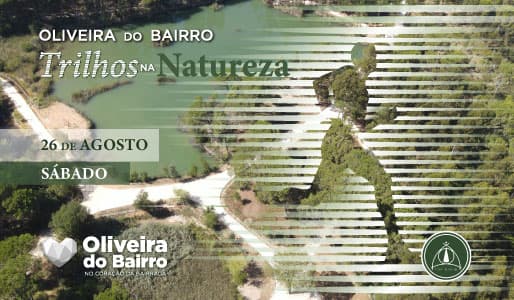 Oliveira do Bairro - Trilhos na Natureza