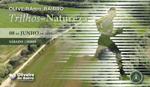 Oliveira do Bairro - Trilhos na Natureza