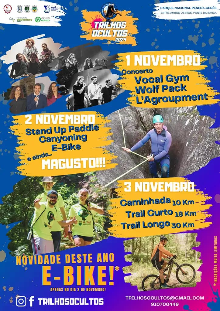 Cartaz de VI TRILHOS OCULTOS