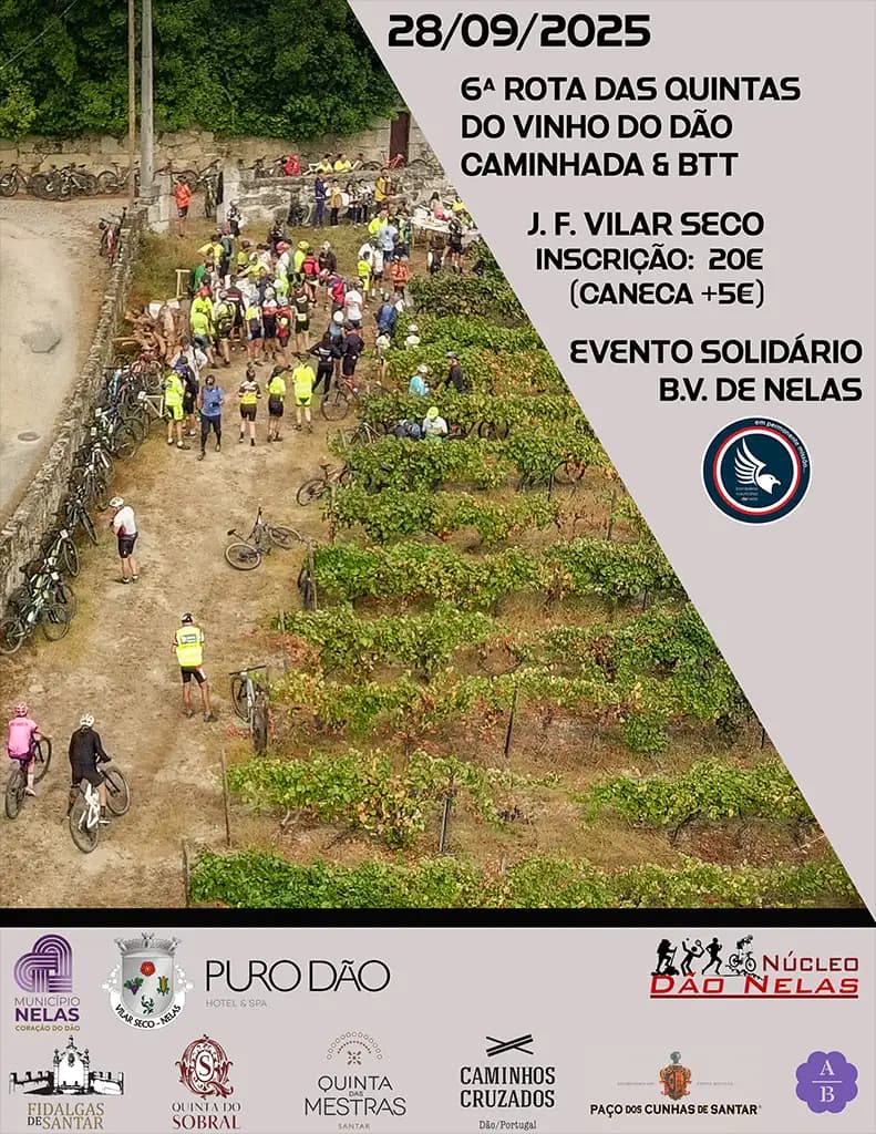 Cartaz de 6ª Rota das Quintas do Vinho do Dão