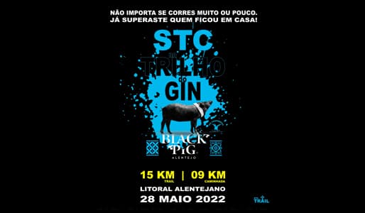 STC no Trilho do Gin